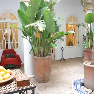 Dar Loulema 3*, Essaouira Marokko